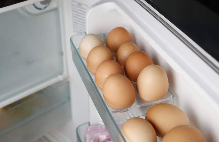 Il rischio delle uova in frigo